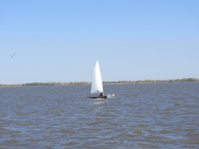 pic171.jpg